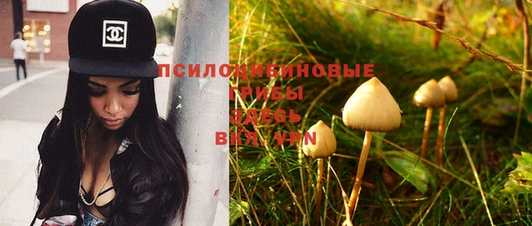 стафф Верея